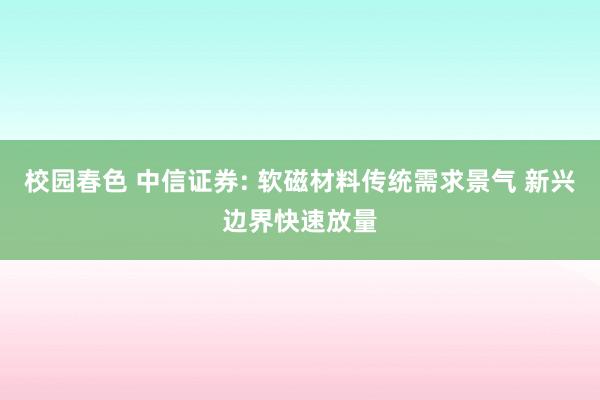 校园春色 中信证券: 软磁材料传统需求景气 新兴边界快速放量