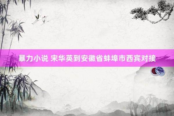 暴力小说 宋华英到安徽省蚌埠市西宾对接