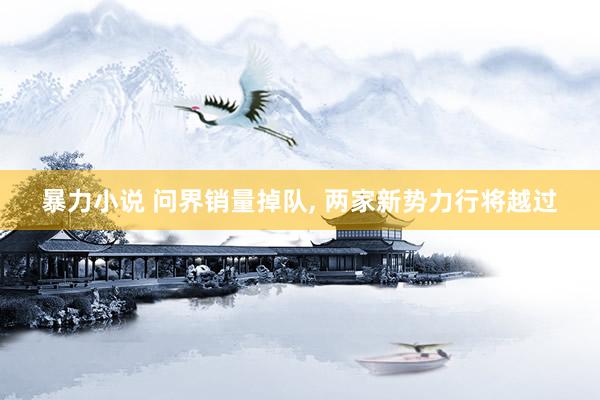 暴力小说 问界销量掉队， 两家新势力行将越过