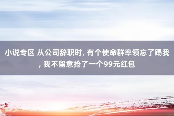 小说专区 从公司辞职时， 有个使命群率领忘了踢我， 我不留意抢了一个99元红包