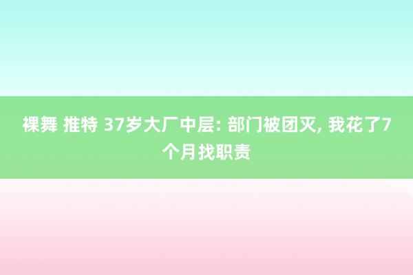 裸舞 推特 37岁大厂中层: 部门被团灭， 我花了7个月找职责