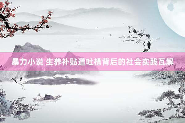 暴力小说 生养补贴遭吐槽背后的社会实践瓦解