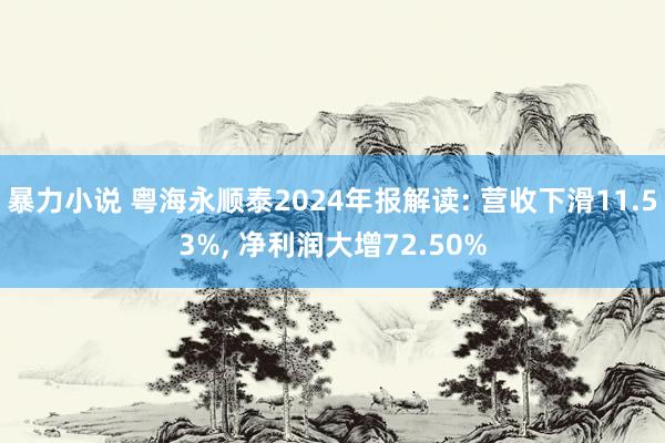 暴力小说 粤海永顺泰2024年报解读: 营收下滑11.53%， 净利润大增72.50%